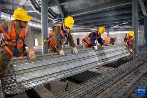 湖南郴州文体中心建设项目钢结构施工完成